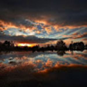 Meet your Posher, Gavin